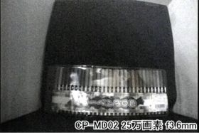 カメラから約30cm離れた被写体を暗闇で撮影