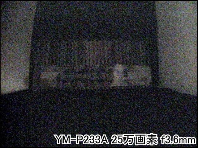 YM-P233A 撮影画像3