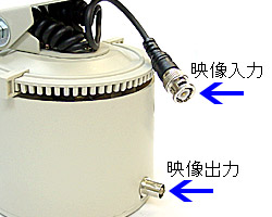 CP-801 映像端子