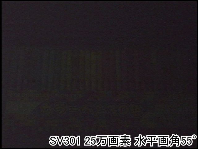 SV301 被写体まで40cm離れた距離を低照度撮影