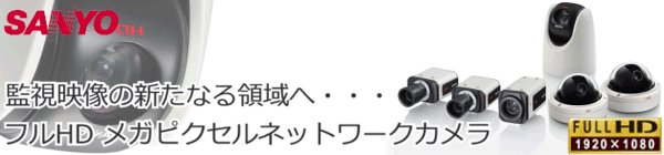 次世代防犯・監視カメラ!高速・高機能・高精細画質のフルHD メガピクセルネットワークカメラ!