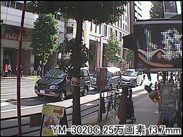 YM-3020C 撮影画像2