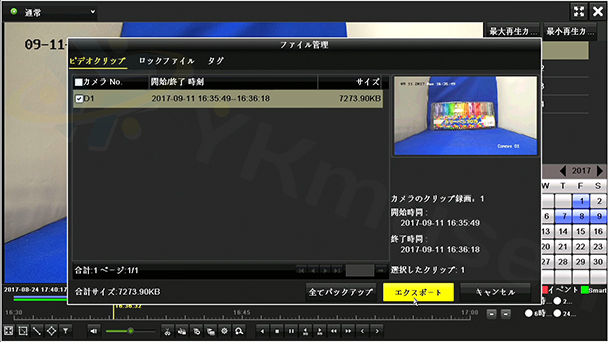 DS-7604NI-K1/4P バックアップ画面