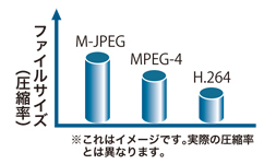 VioStor-2204Pro＋ 各種圧縮フォーマットに対応